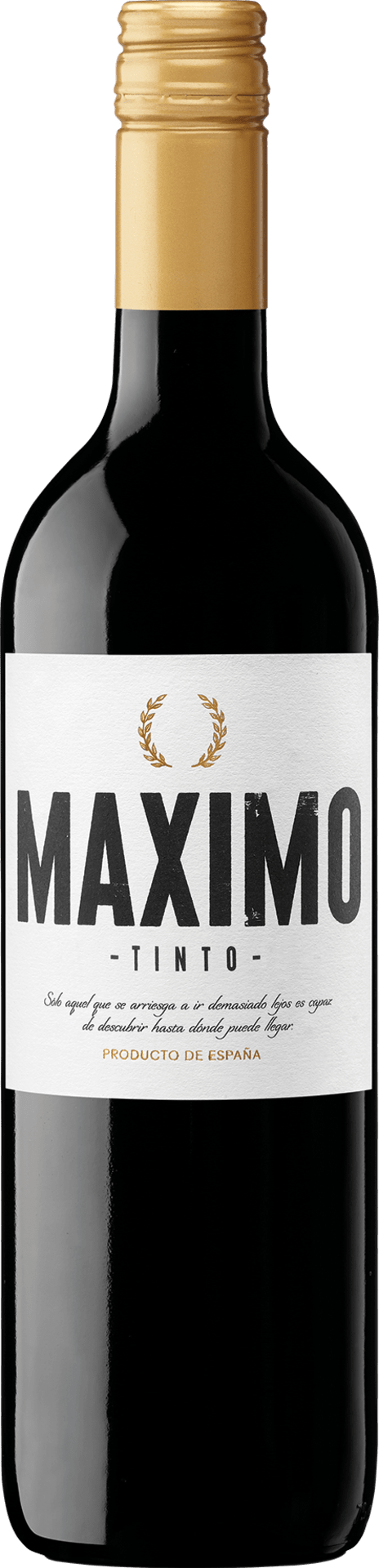Maximo Tinto